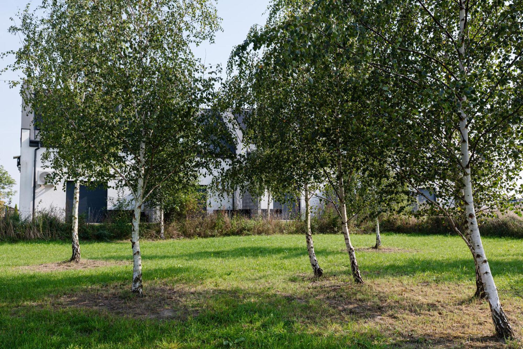 Nowe Apartamenty Ostoja - Nad Baltykiem - Cisza I Piekno Natury Zastan Luaran gambar